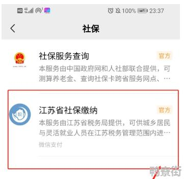 养老保险怎么交网上缴费？